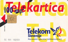 PHONE CARD SLOVENIA (E33.27.5 - Slovenië