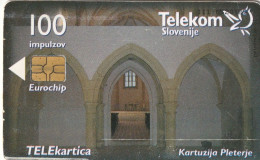 PHONE CARD SLOVENIA (E33.29.4 - Slowenien