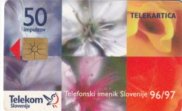 PHONE CARD SLOVENIA (E33.29.3 - Slowenien