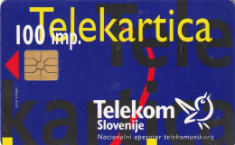 PHONE CARD SLOVENIA (E33.27.7 - Slowenien