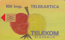 PHONE CARD SLOVENIA (E33.25.8 - Slovénie