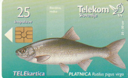 PHONE CARD SLOVENIA (E33.23.8 - Slovenië