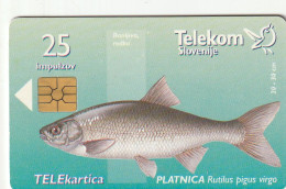 PHONE CARD SLOVENIA (E33.23.7 - Slovenië