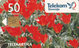 PHONE CARD SLOVENIA (E33.23.5 - Slovénie