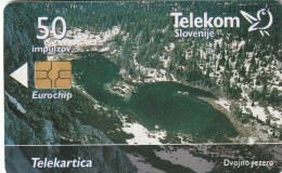 PHONE CARD SLOVENIA (E33.15.1 - Slowenien