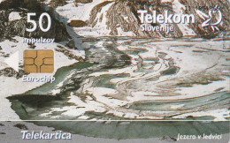 PHONE CARD SLOVENIA (E27.2.4 - Slovenië