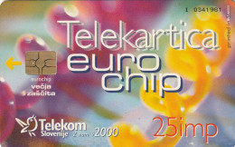 PHONE CARD SLOVENIA (E24.21.5 - Slovénie