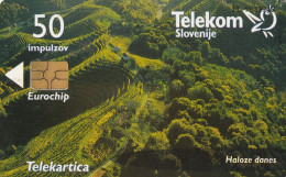 PHONE CARD SLOVENIA (E24.14.2 - Slowenien