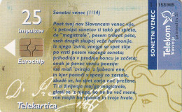 PHONE CARD SLOVENIA (E24.17.1 - Slowenien