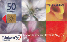 PHONE CARD SLOVENIA (E24.5.6 - Slovenië