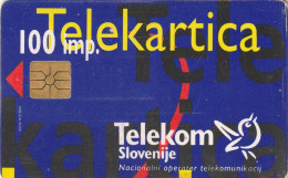 PHONE CARD SLOVENIA (E24.6.4 - Slovenië