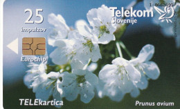 PHONE CARD SLOVENIA (E24.2.3 - Slowenien