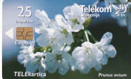 PHONE CARD SLOVENIA (E24.2.3 - Slovenië