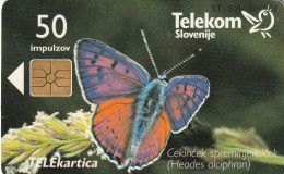 PHONE CARD SLOVENIA (E24.3.1 - Eslovenia