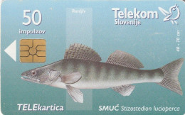 PHONE CARD SLOVENIA (E48.44.2 - Slovenië