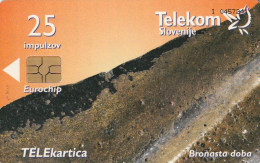 PHONE CARD SLOVENIA (E48.51.3 - Slovenië