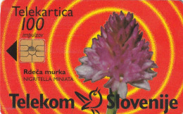 PHONE CARD SLOVENIA (E48.32.7 - Slovenië