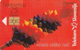 PHONE CARD SLOVENIA (E48.24.8 - Slovenië