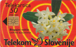 PHONE CARD SLOVENIA (E48.24.1 - Slovenië