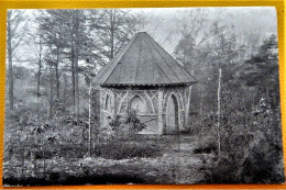 BRAINE - L' ALLEUD  -   Vue Au Bois Du Foriest - Braine-l'Alleud