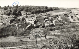 CPSM Vauhallan-Le Village Et L'abbaye Saint Louis Du Temple-Timbre-RARE    L2492 - Essonnes