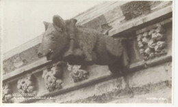 29049) UK Scotland Melrose Abbey Pig With Bagpipes  Church Real Photo RPPC By H M Office The Works  - Roxburghshire