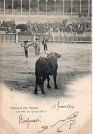 Madrid Animée Corrida Corrida De Toros Taureau Un Par De Cayentanito - Madrid