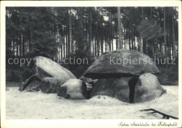 42170106 Fallingbostel Siebensteinhaeuser Huenengrab Steingrab Lueneburger Heide - Fallingbostel