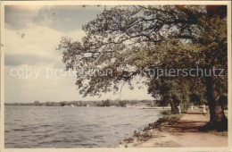 42169279 Bad Zwischenahn Uferpromenade Aschhausen - Bad Zwischenahn