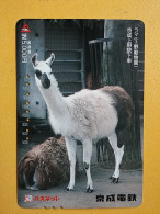 T-427 - JAPAN, Japon, Nipon, Carte Prepayee, Prepaid, Animal  - Jungle