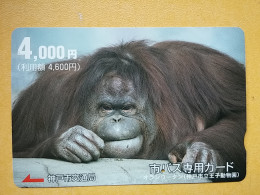 T-427 - JAPAN, Japon, Nipon, Carte Prepayee, Prepaid, Animal Monkey - Oerwoud