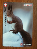 T-427 - JAPAN, Japon, Nipon, Carte Prepayee, Prepaid, Animal Squirrel, écureuil - Sonstige & Ohne Zuordnung