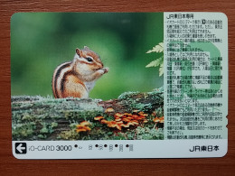 T-429 - JAPAN, Japon, Nipon, Carte Prepayee, Prepaid, Animal,  - Altri & Non Classificati