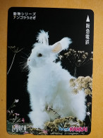 T-429 - JAPAN, Japon, Nipon, Carte Prepayee, Prepaid, Animal, Rabbit, Lapin - Konijnen