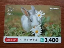 T-429 - JAPAN, Japon, Nipon, Carte Prepayee, Prepaid, Animal, Rabbit, Lapin - Rabbits