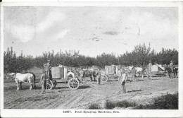 Fruit Spraying, Montrose, Colo. - Andere & Zonder Classificatie