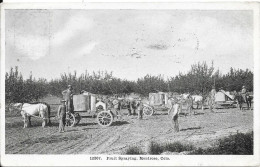 Fruit Spraying, Montrose, Colo. - Other & Unclassified