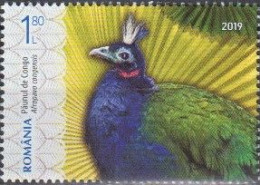 Romenia 2019 (AVE175) (MNH) Mi 7553) - Congo Peafowl (Afropavo Congensis) - Pavos Reales