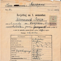 BOSNIEN  --   PRVA GIMNAZIJA SARAJEVO  --  IZVJESTAJ, SCHOOL REPORTS  --   1923   /   WITH TAX STAMP  50 PARA  SHS - Diplômes & Bulletins Scolaires