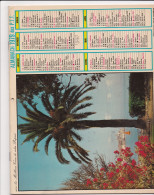 Almanach Des PTT 1979, Antibes, Alpes Maritimes, Palmier - Big : 1971-80