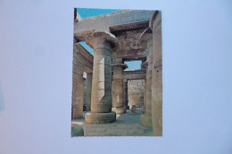 LUXOR - LOUXOR  -  Colonnade Du Temple  -  EGYPTE -  EGYPT - Luxor