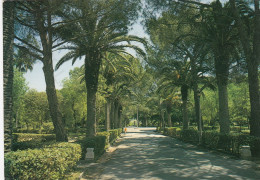 CARTOLINA  VITTORIA,RAGUSA,SICILIA-VILLA COMUNALE-STORIA,MEMORIA,RELIGIONE,IMPERO ROMANO,BELLA ITALIA,VIAGGIATA 1985 - Ragusa