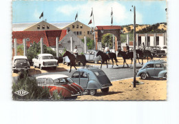 Bray Dunes. Le Clos Fleuri. Edit J.TOP N°804. Voitures Citroen DS 2CV Renault 4CV Peugeot Equitation - Bray-Dunes