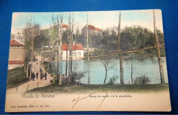 ST GENESIUS RODE - RHODE ST GENESE  -  Etang Du Moulin De La Papeterie   - 1905   - - St-Genesius-Rode