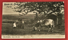 ST GENESIUS RODE - RHODE ST GENESE  - Landschap  -  Paysage - 1904   - - St-Genesius-Rode