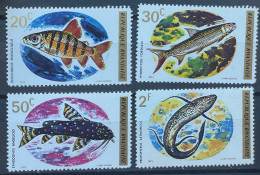 RWANDA -  MNG - 1973 - # 553/557  4 STAMPS - Gebraucht