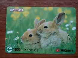 T-430 - JAPAN, Japon, Nipon, Carte Prepayee, Prepaid, Animal, Rabbit, Lapin - Conejos