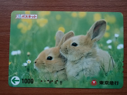 T-430 - JAPAN, Japon, Nipon, Carte Prepayee, Prepaid, Animal, Rabbit, Lapin - Conigli