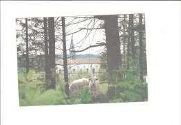 ROYBON  ABBAYE NOTRE DAME DE CHAMBARAND    THEME VACHES       ****    RARE    A  SAISIR **** - Roybon