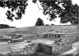 CHESTERS ROMAN FORT, HADRIANS WALL, NORTHUMBERLAND., ENGLAND. UNUSED POSTCARD   Tw7 - Otros & Sin Clasificación